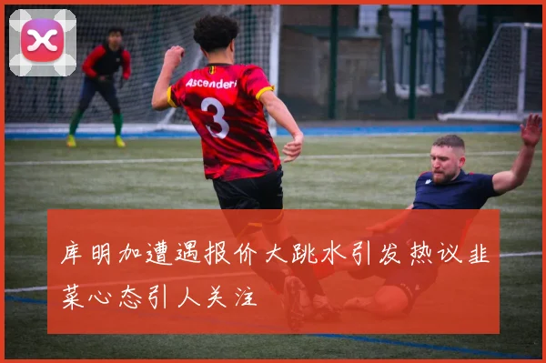 库明加遭遇报价大跳水引发热议韭菜心态引人关注